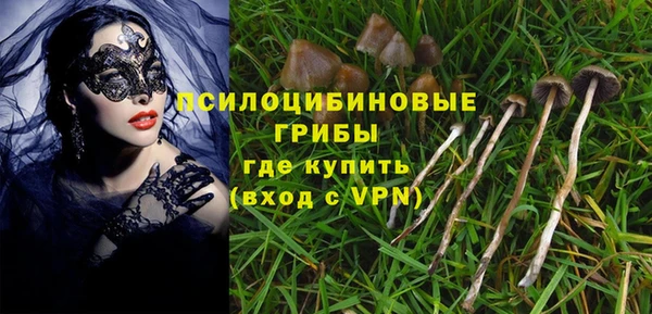 a pvp Протвино